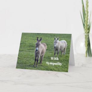Donkey Brown Tan Animal Photo Sympathy Kort