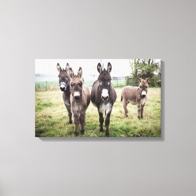 Donkey Canvastryck (Framsida)