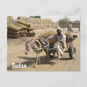 Donkey Cart i Sudan Vykort