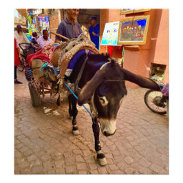 Donkey & Cart in the Medina - Marrakech, Marocko Fototryck