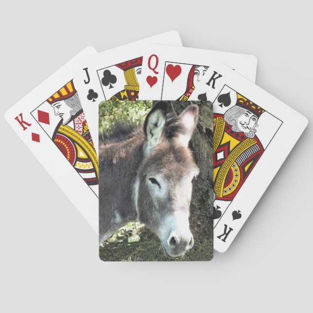 DONKEY CASINOKORT (Baksidan)