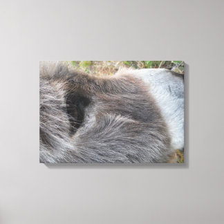 Donkey Close - Up of Ansikte Canvastryck