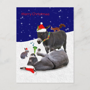 Donkey Daze vycard Vykort