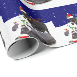 Donkey Daze Wrapping Papper Presentpapper