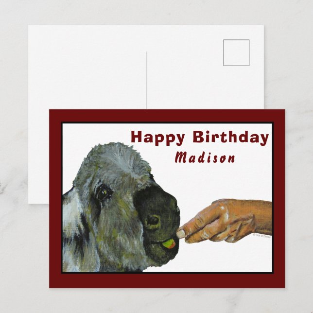 Donkey Eatera ett Apple-vykort Vykort (Fram/baksida)