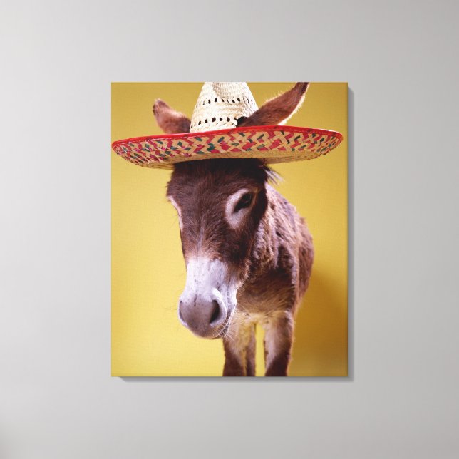 Donkey (Equus hemonius) med halmhatt Canvastryck (Framsida)