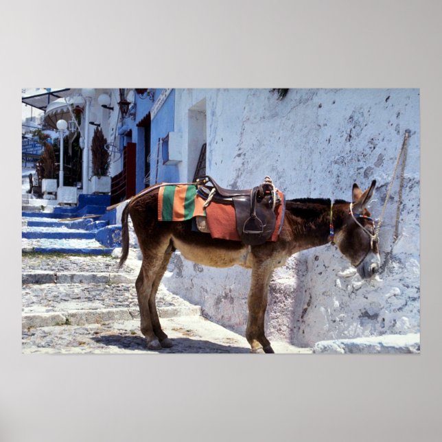 Donkey, Fira Santorini, Grekland Poster (Framsidan)