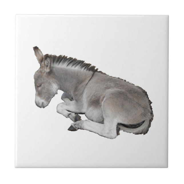 Donkey Foal Kakelplatta (Framsidan)
