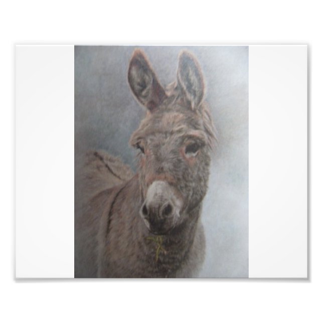 Donkey Fototryck (Framsidan)