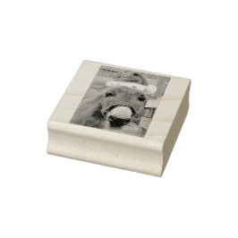 "Donkey gör Underbara soppa!" Stämpel