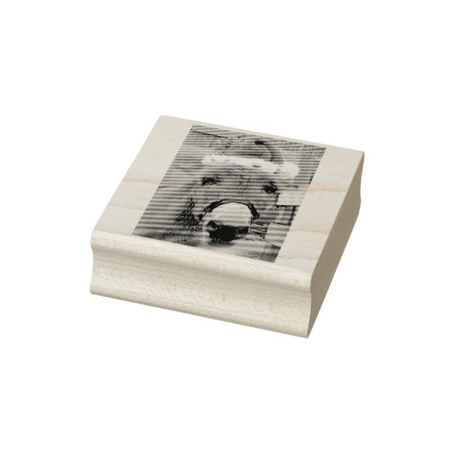 "Donkey gör Underbara soppa!" Stämpel (Stämpel)