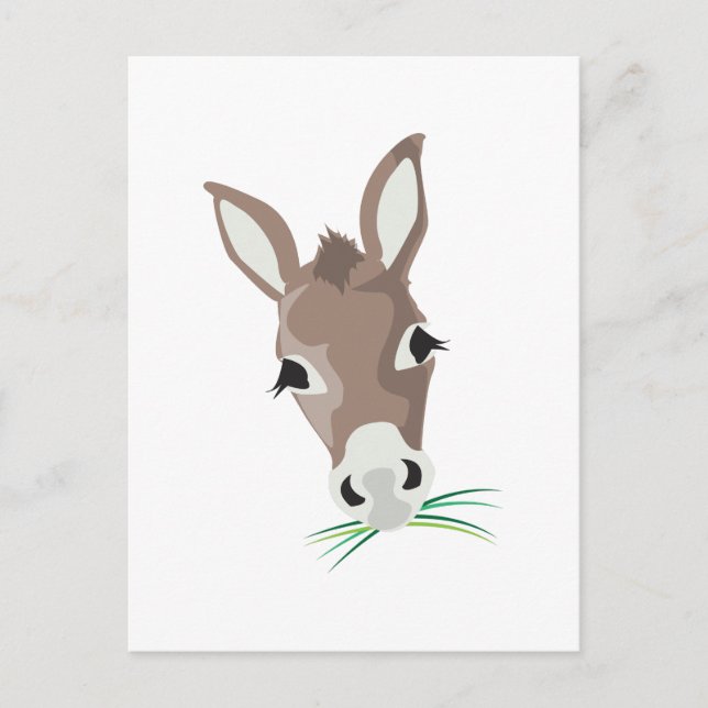 Donkey Head Vykort (Framsida)