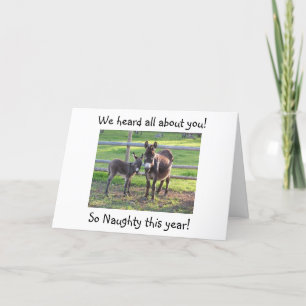 DONKEY HUMOR DÄR NI GJORDE I ÅR HELGKORT