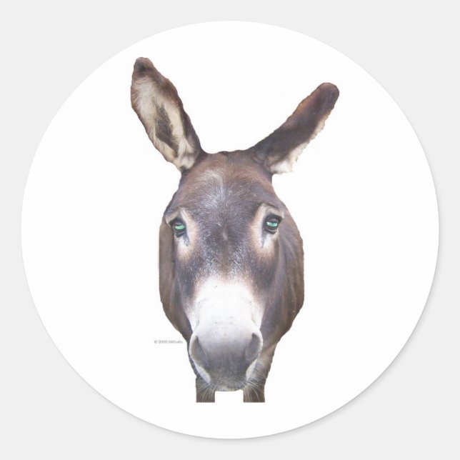Donkey i Ansikte Runt Klistermärke (Framsida)
