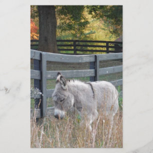 Donkey i Fält på hösten Brevpapper
