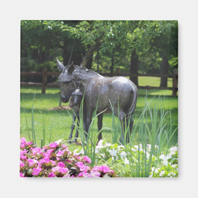 Donkey i Garden magnet (Framsidan)