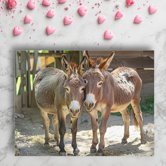 Donkey i kärlek vycard vykort (Skapare uppladdad)