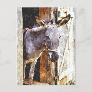 Donkey i vattenfärg vykort