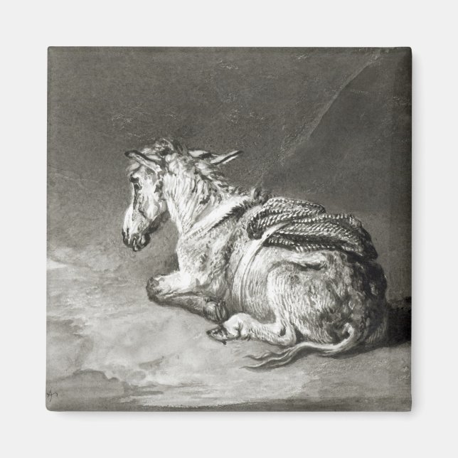 Donkey i vila magnet (Framsidan)