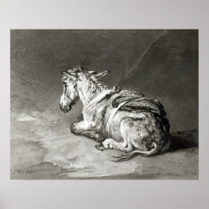 Donkey i vila poster