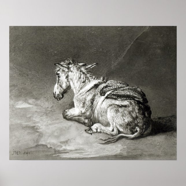 Donkey i vila poster (Framsidan)