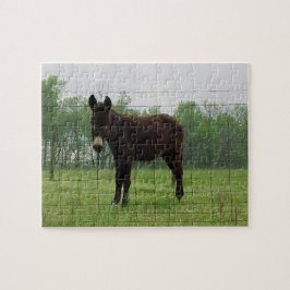 Donkey Jigszle Puzzle Pussel