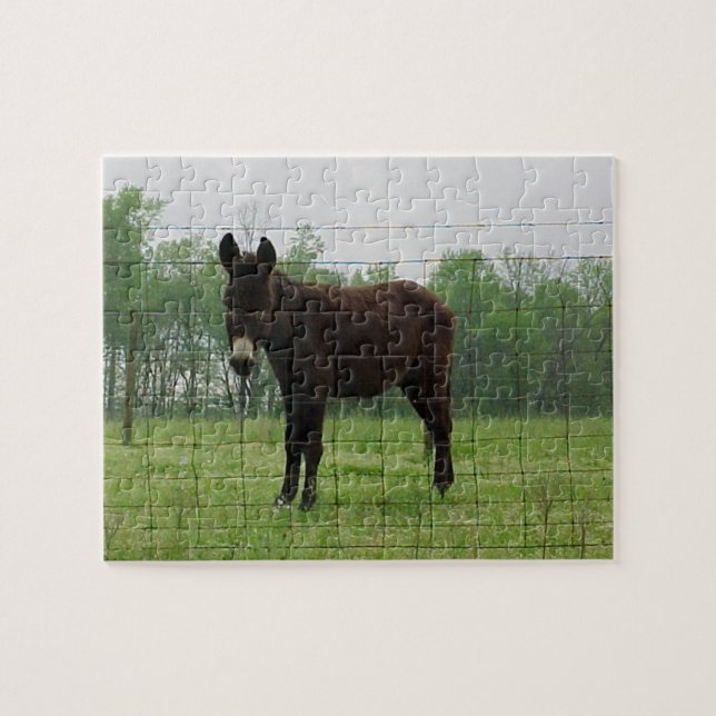 Donkey Jigszle Puzzle Pussel (Horisontell)
