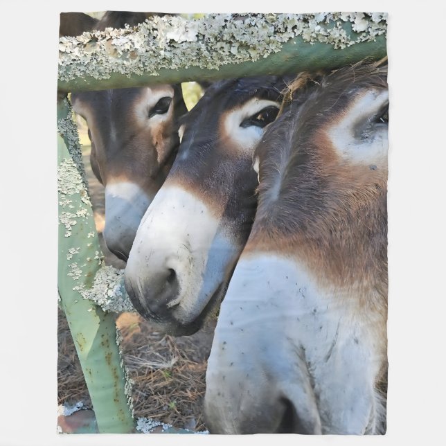 Donkey Kärlek Fleece Blanket, stor 60 x 80 tum (Framsidan)