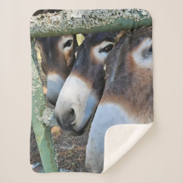 Donkey Kärlek Sherpa Blanket