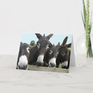 Donkey Kort