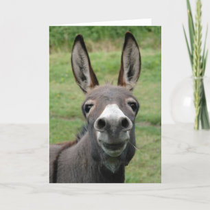 Donkey Kort