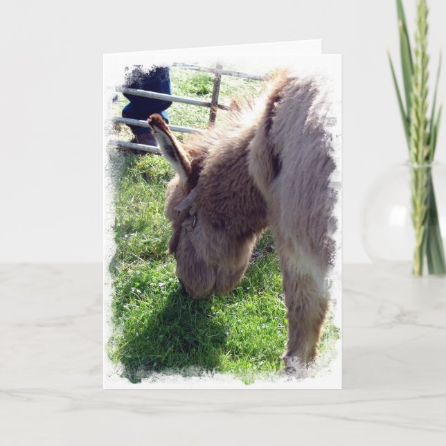 Donkey Kort (Framsida)