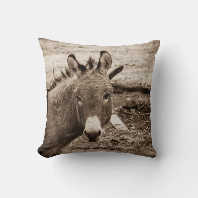 Donkey Kudde (Framsida)