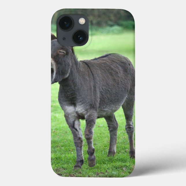 Donkey Laugh iPad Mini Case (Baksida)