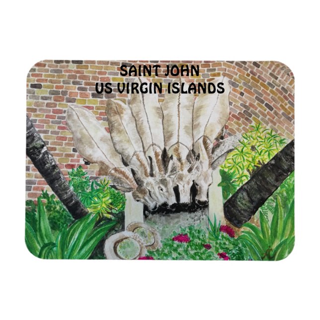 Donkey Magnet (Horisontell)