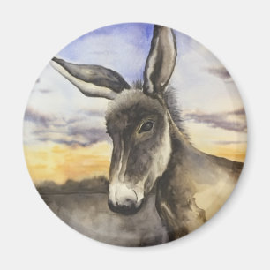 donkey magnet