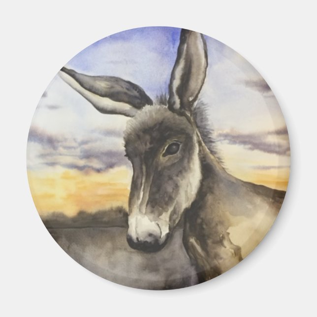 donkey magnet (Framsidan)