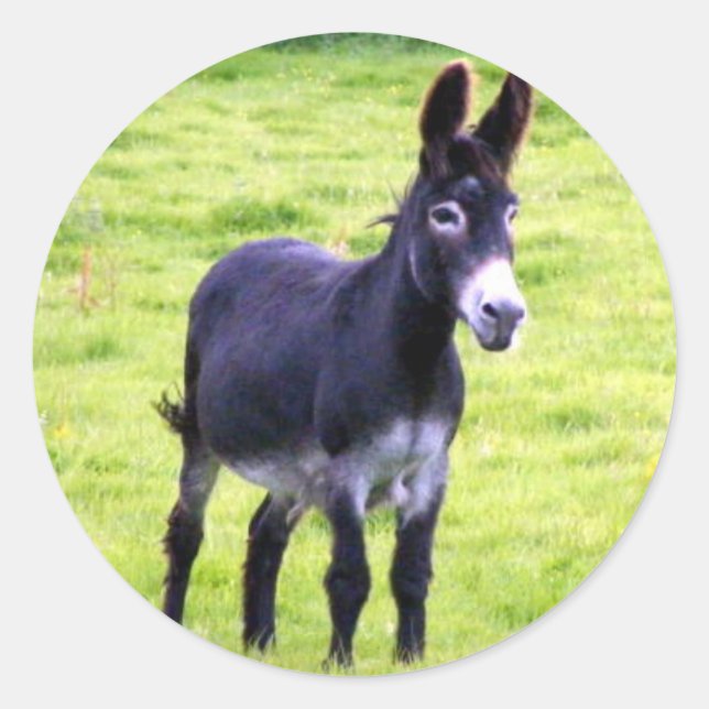 Donkey-märke Runt Klistermärke (Framsida)