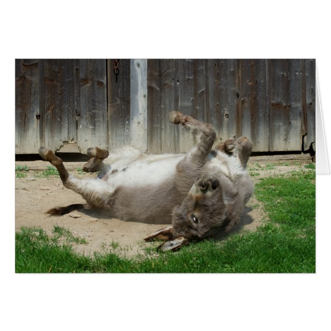 Donkey med bath hälsningskort (Framsidan Horizontal)