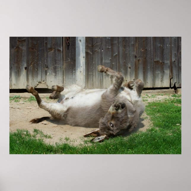 Donkey med bath poster (Framsidan)