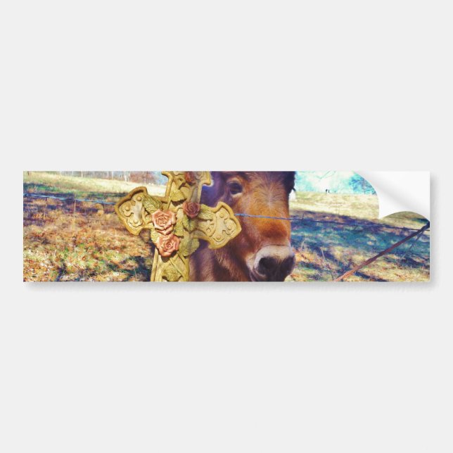 Donkey med Ro Kor Bildekal (Framsidan)