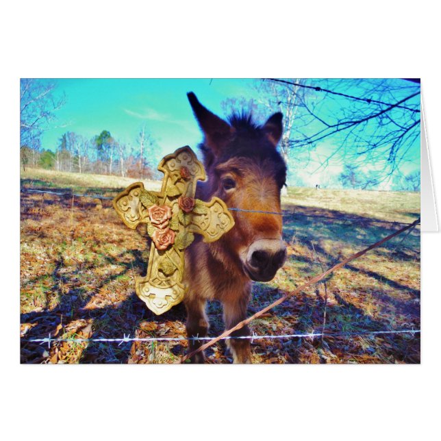 Donkey med Ro Kor Hälsningskort (Framsidan Horizontal)