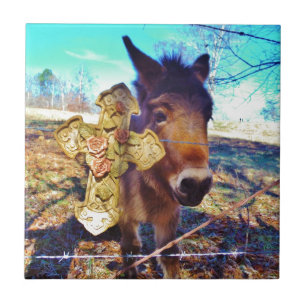 Donkey med Ro Kor Kakelplatta