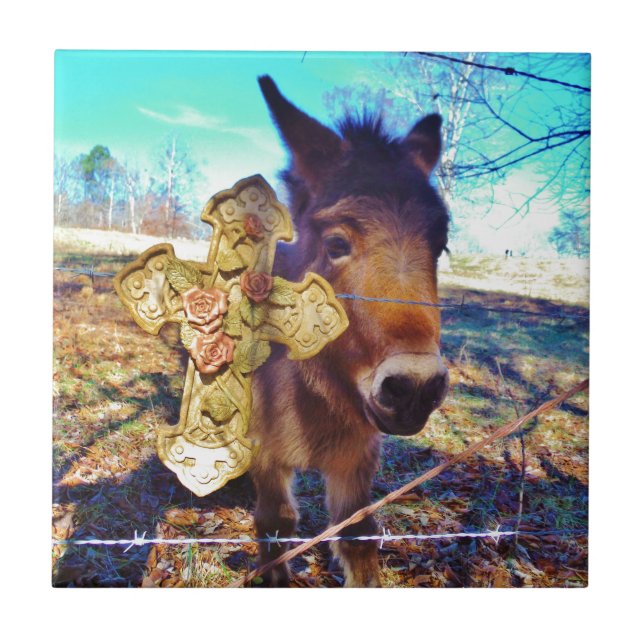 Donkey med Ro Kor Kakelplatta (Framsidan)