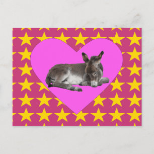 Donkey med stjärnor och hjärta vykort