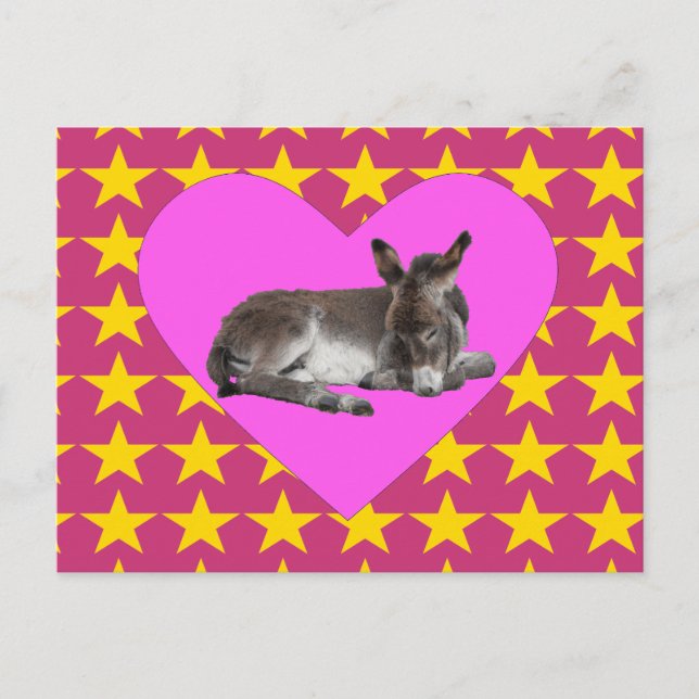 Donkey med stjärnor och hjärta vykort (Framsida)