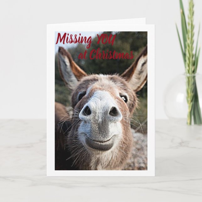 DONKEY MISSER SIN ELLER HENNES **BROTHER** MYCKET  HELGKORT (Framsida)