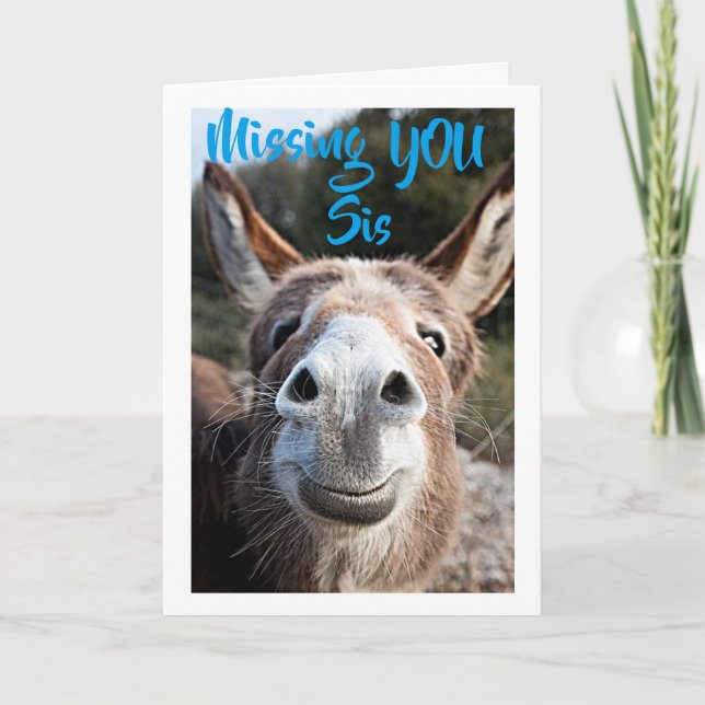 DONKEY MISSES ***SYRRAN*** INTE MYCKET LYCKLIG OM  KORT (Framsida)