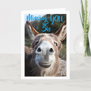 DONKEY MISSES ***SYRRAN*** INTE MYCKET LYCKLIG OM KORT