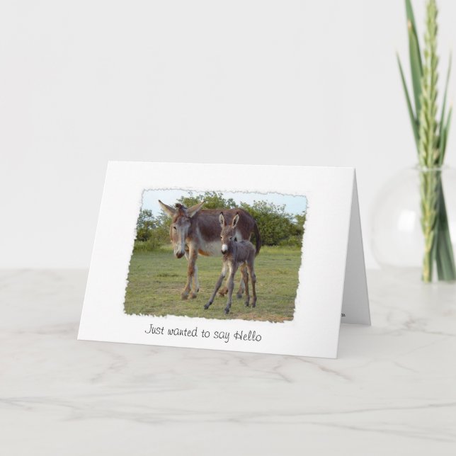 donkey new born Card Kort (Framsida)